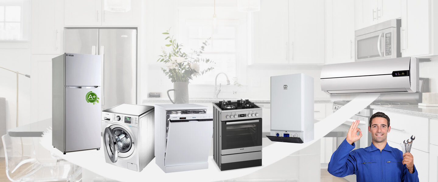Yıldırım Electrolux Servisi